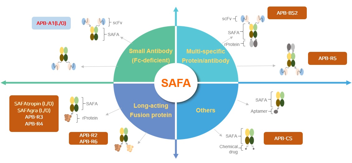 이미지: SAFA 기술로 제작 가능한 신약 구조의 다양성 및 확장성