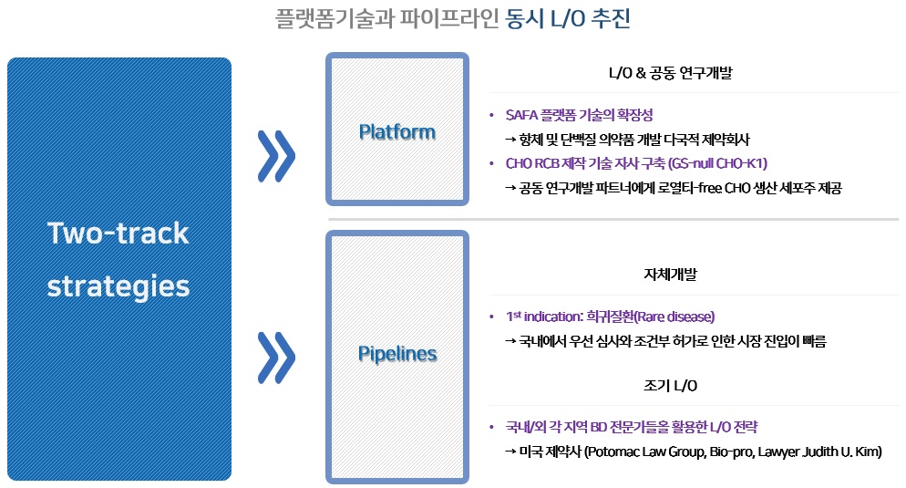 이미지: two-track strategies