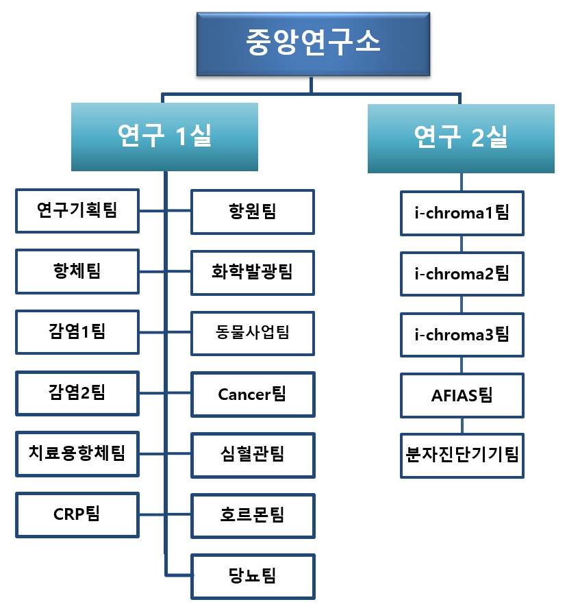 이미지: 연구개발조직도