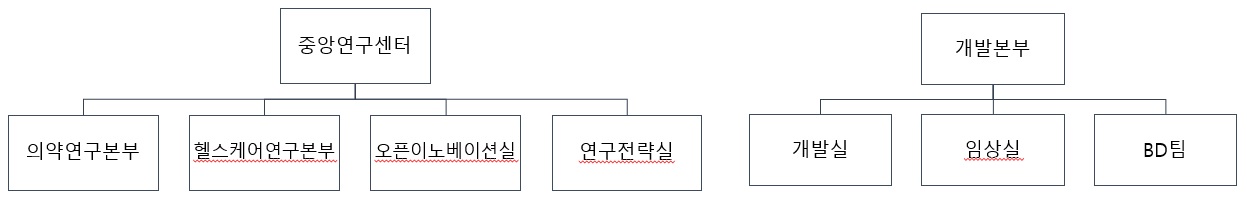 이미지: 연구개발 조직도