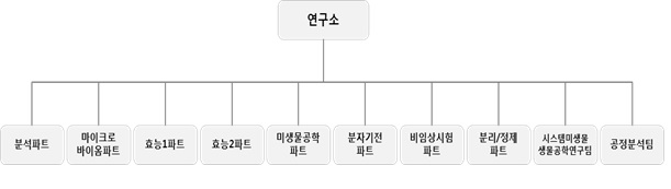 이미지: 연구소 조직도