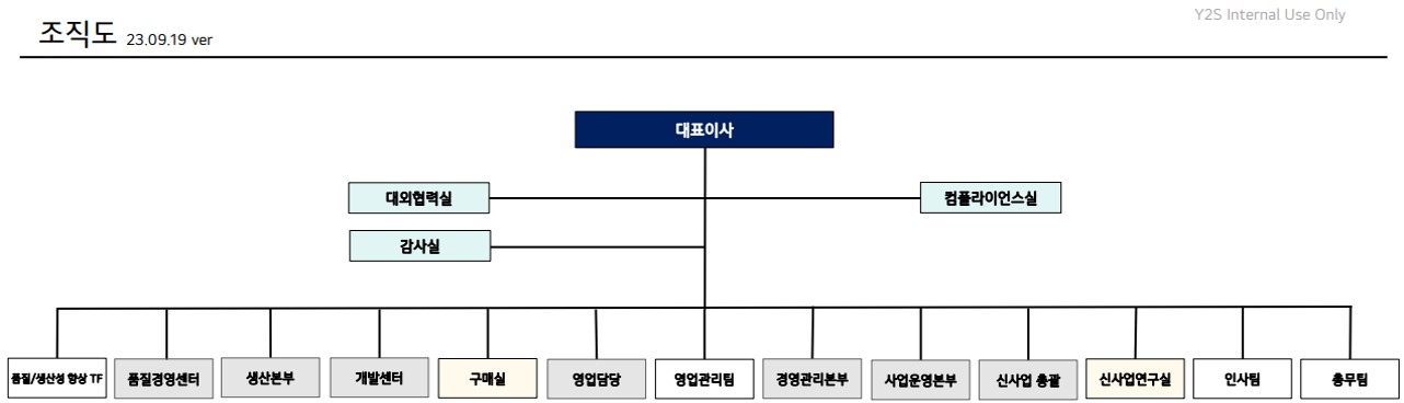 이미지: (주)와이투솔루션 조직도