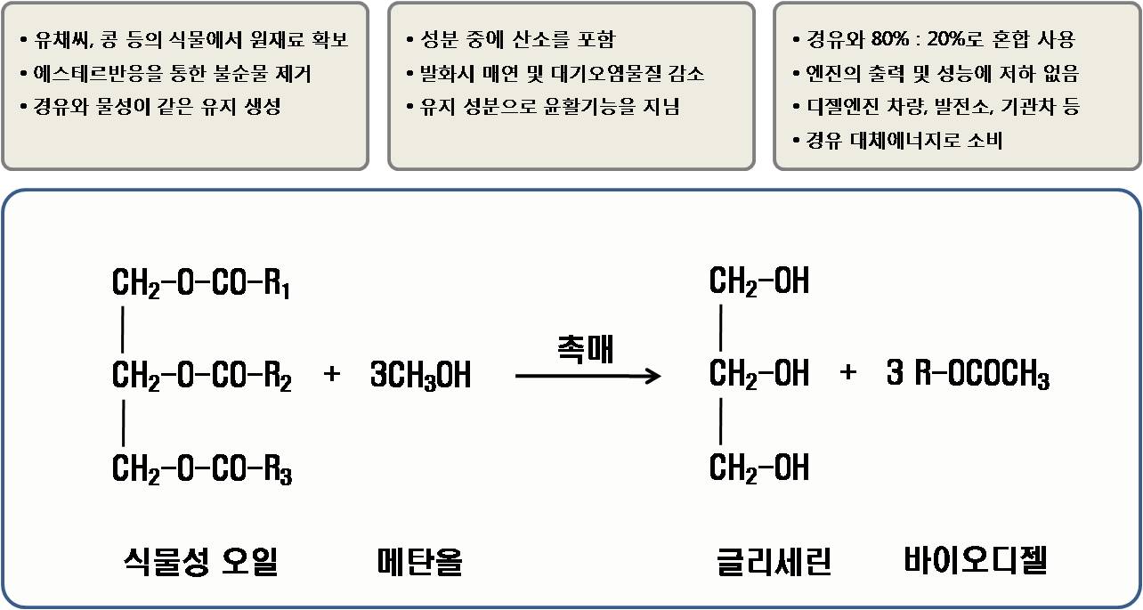 이미지: 바이오디젤 합성메카니즘