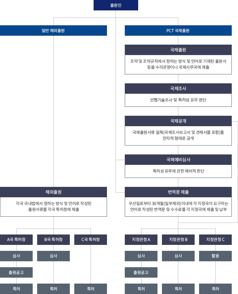 이미지: PCT 비교도