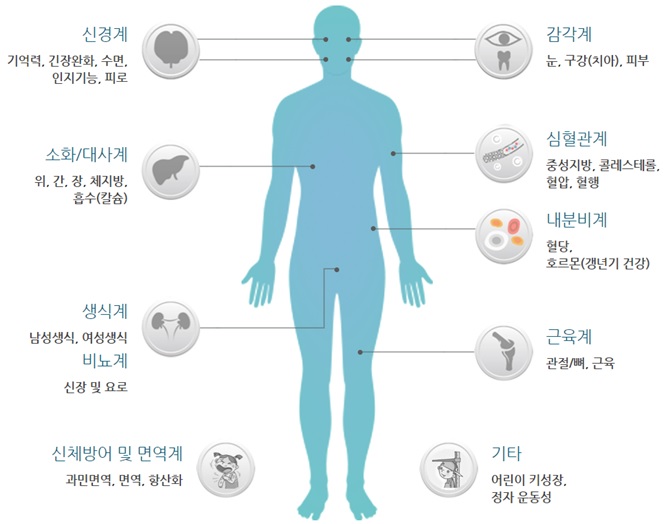 이미지: 건강기능식품 기능별 정보