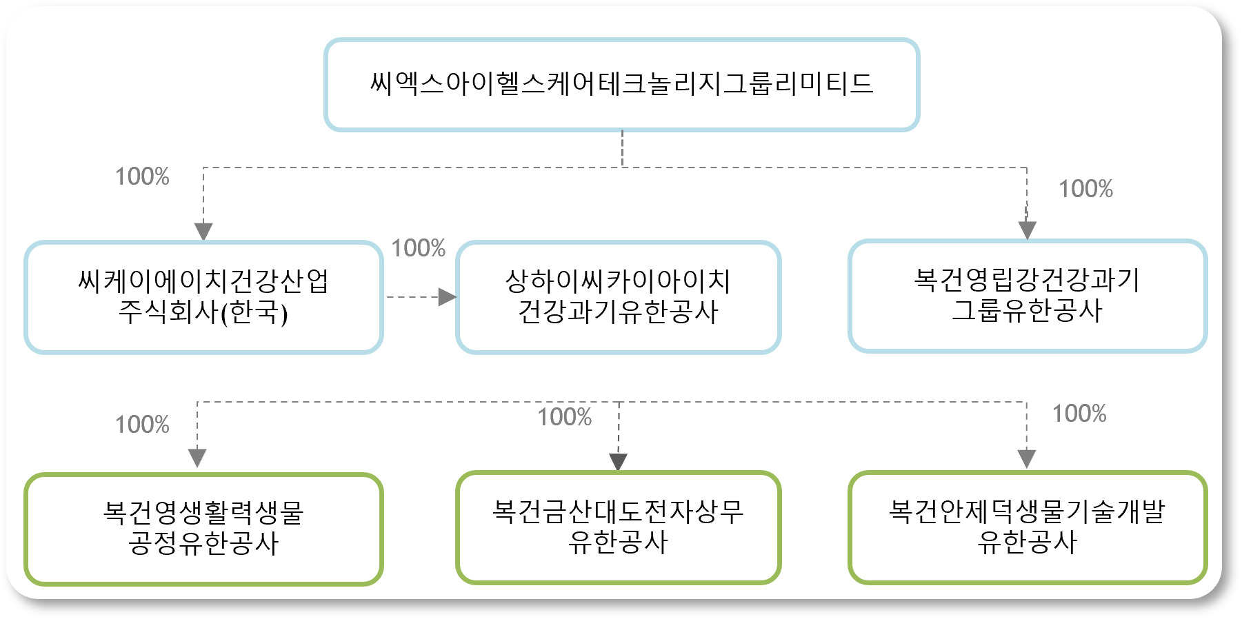 이미지: 씨엑스아이헬스케어테크놀리지그룹리미티드_지배구조도2023