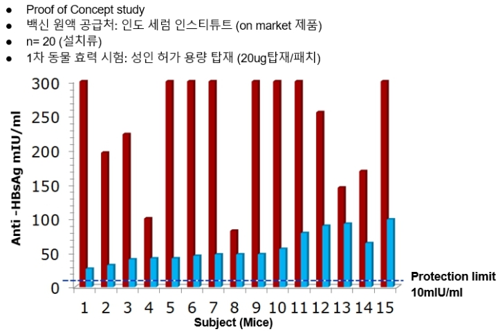 이미지: B형 간염백신 동물효력시험 결과