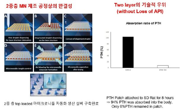이미지: PTH 제조기술 진보성_Raphas