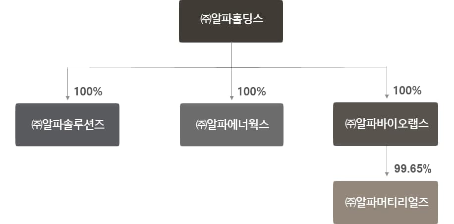 이미지: 알파홀딩스 주요법인