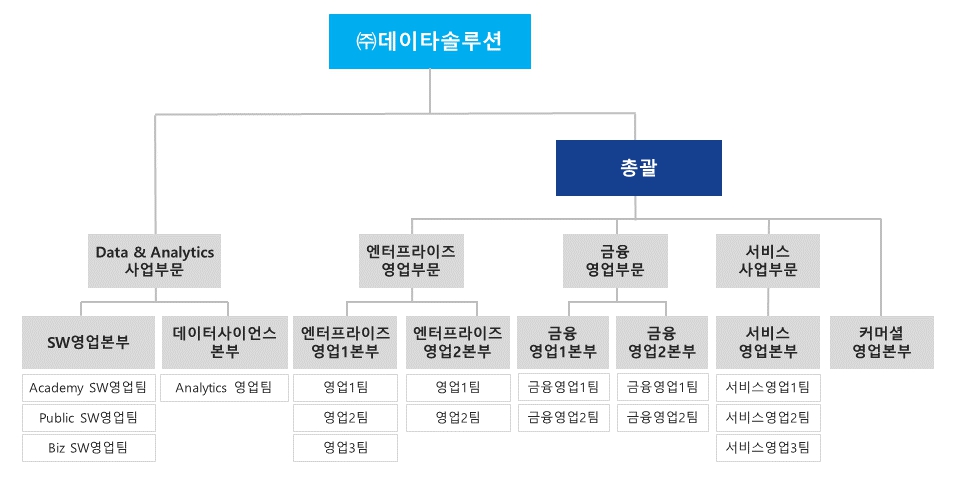[데이타솔루션] 사업보고서(일반법인)