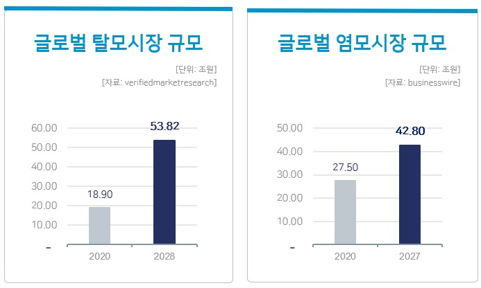 이미지: 글로벌 탈모시장＆염모시장규모