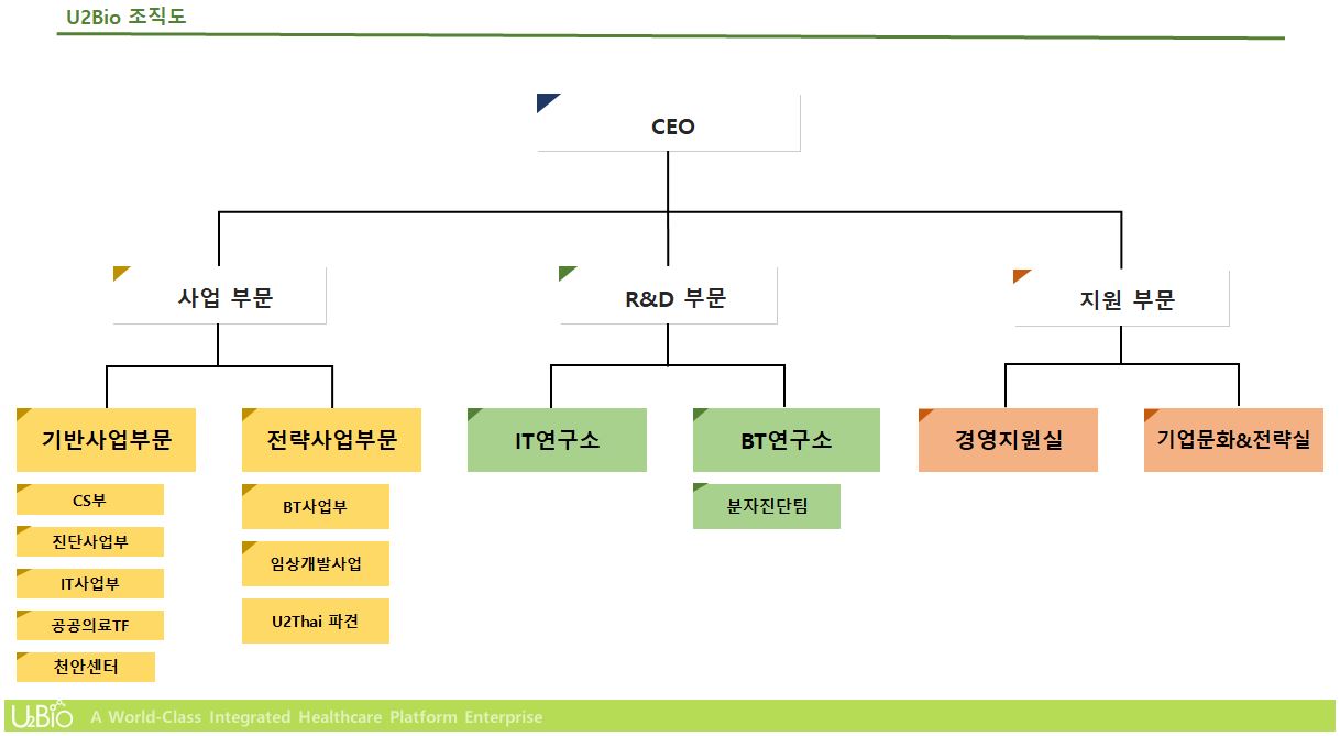 이미지: 조직도