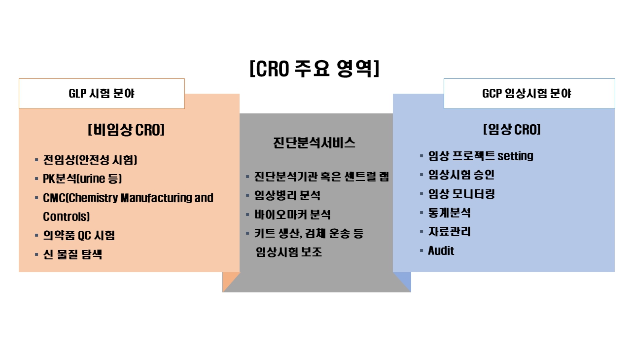 이미지: cro 주요 업무 영역