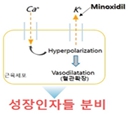이미지: -