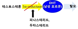 이미지: -
