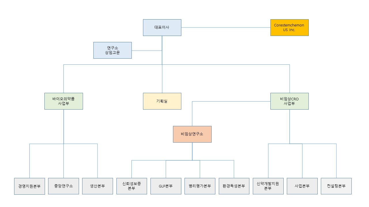 이미지: 코아스템켐온 조직도