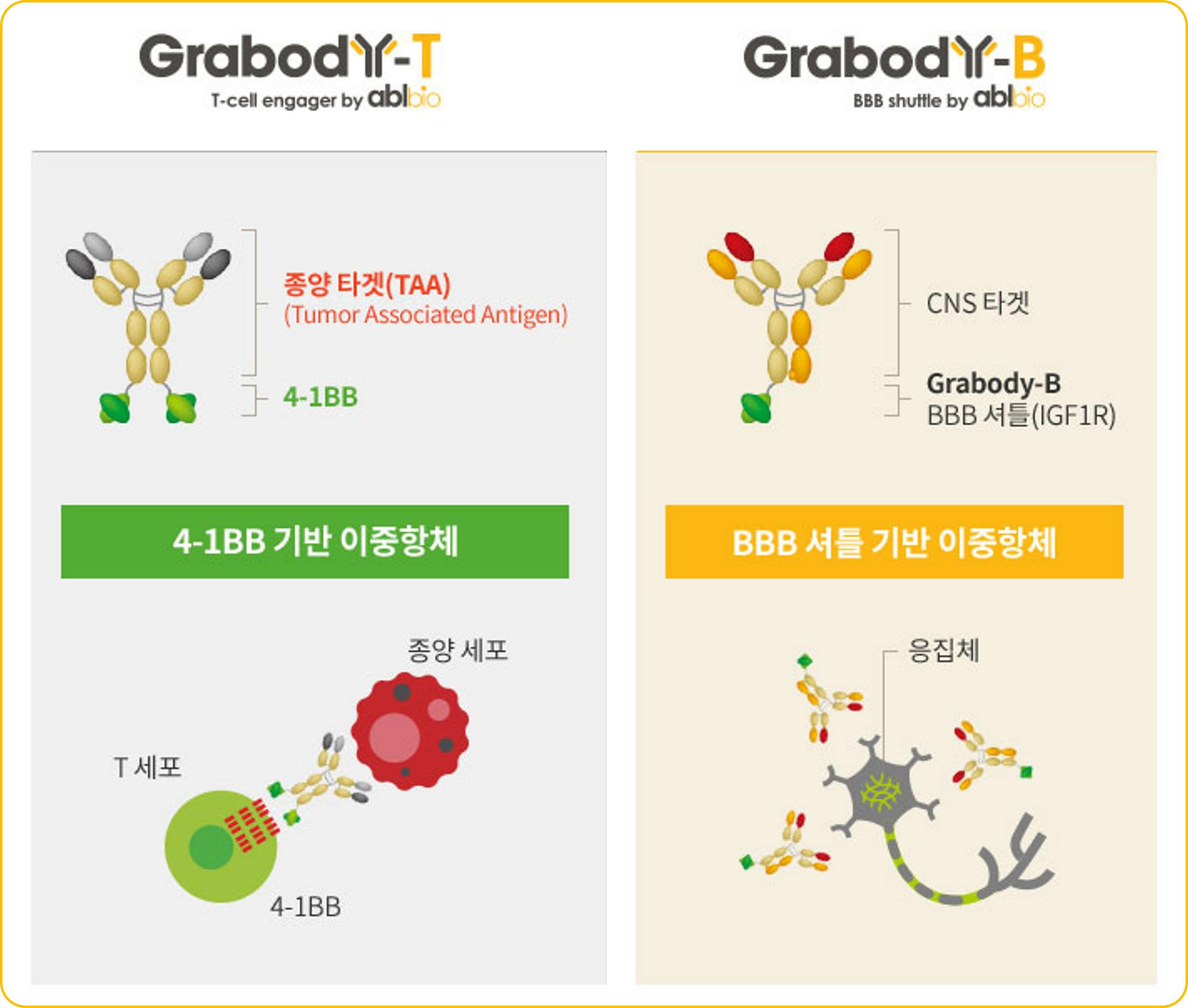 이미지: [Grabody 이중항체 플랫폼 기술]