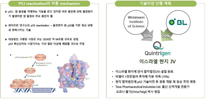 이미지: 이스라엘 와이즈만 연구소와의 p53 연구개발 및 임상시험 진행