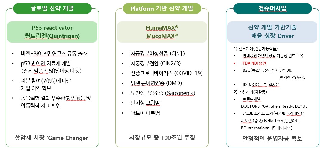 이미지: 회사의 사업영역