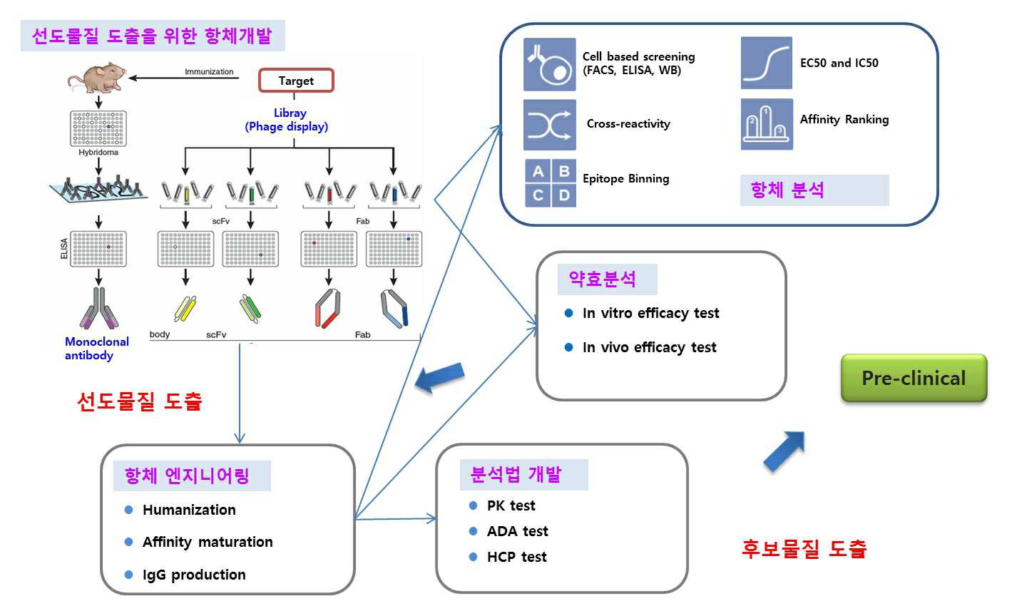 이미지: 앱클론 항체신약 개발 total service 개요