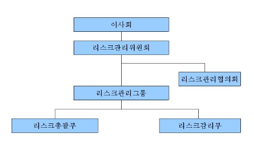 이미지: 리스크관리조직