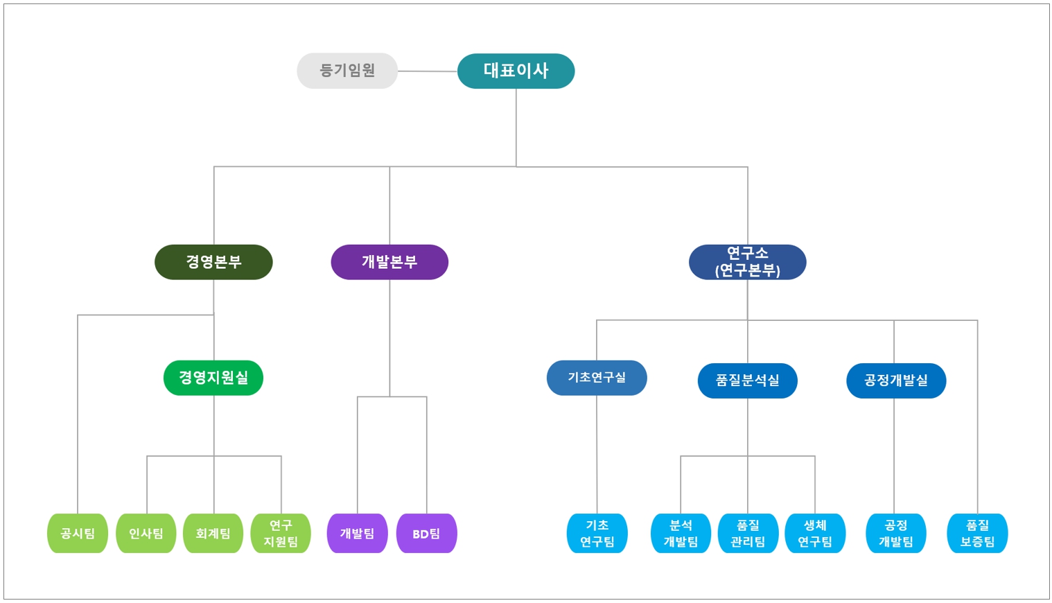 아이진] 사업보고서(일반법인)