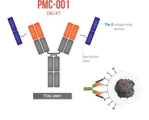 이미지: PMC-001