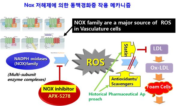 이미지: [Nox 저해제에 의한 동맥경화증 치료제 작용 메카니즘]