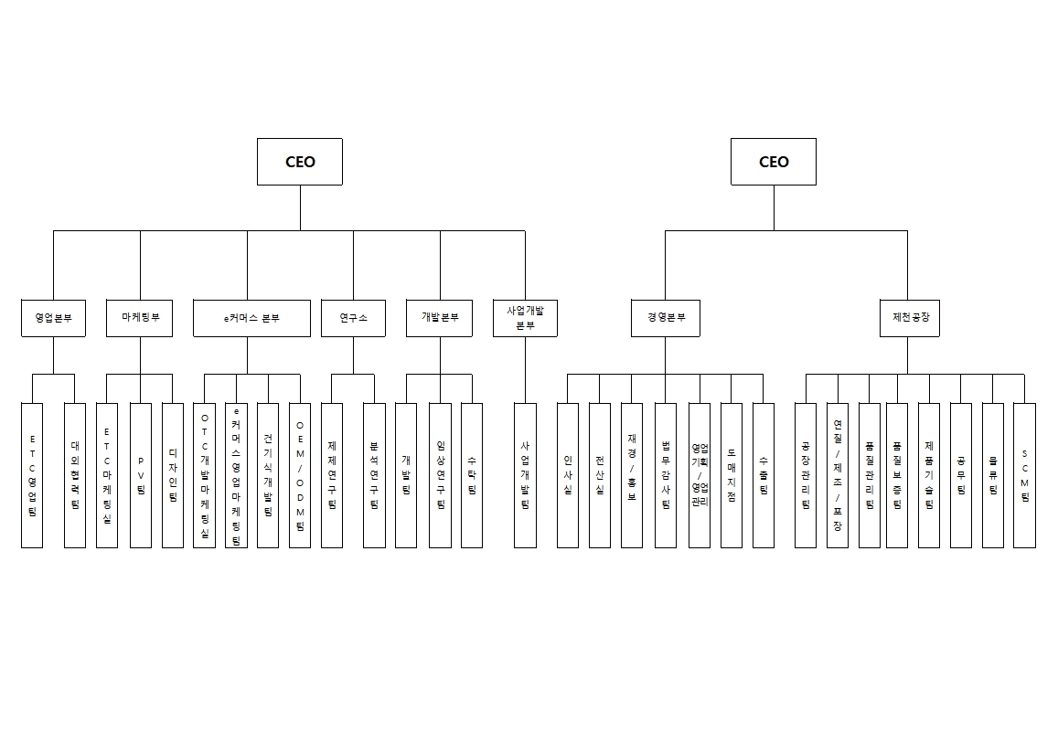 유유제약] 사업보고서(일반법인)