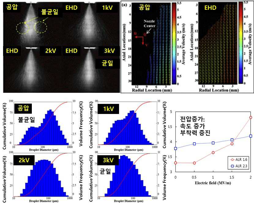 이미지: 분석결과