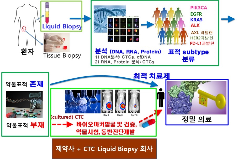 이미지: [CTC 기반 Liquid biopsy 동반진단 개발 및 정밀의료 개념도]