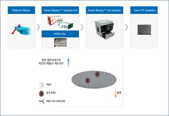 이미지: [HDM chip을 이용한 CTC 분리]