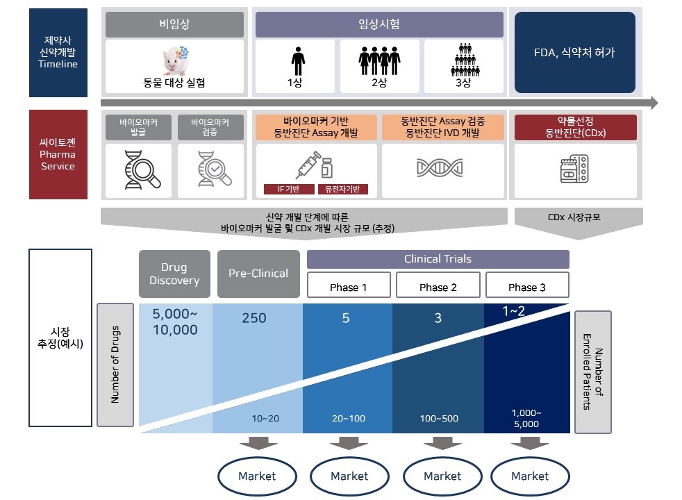 이미지: 신약 개발 과정에 따른 당사의 cdx 관련 사업 시장 영역 및 추정 규모