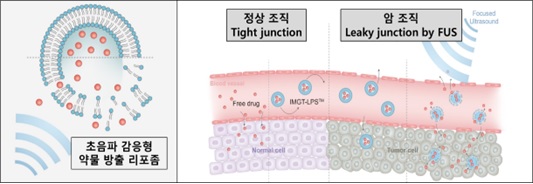 이미지: IMP301 작용도