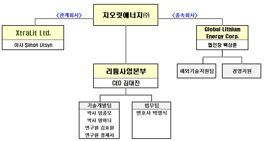 이미지: - 신규사업 조직도-