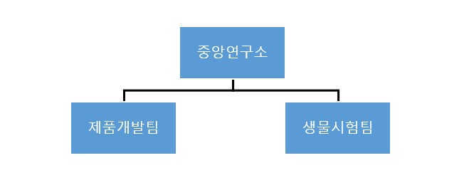 이미지: 중앙연구소_조직도