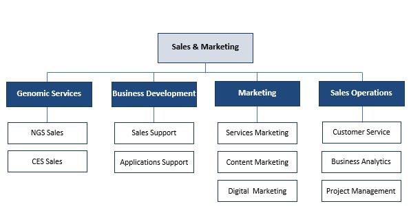 이미지: [Sales & Marketing 부문 조직도]