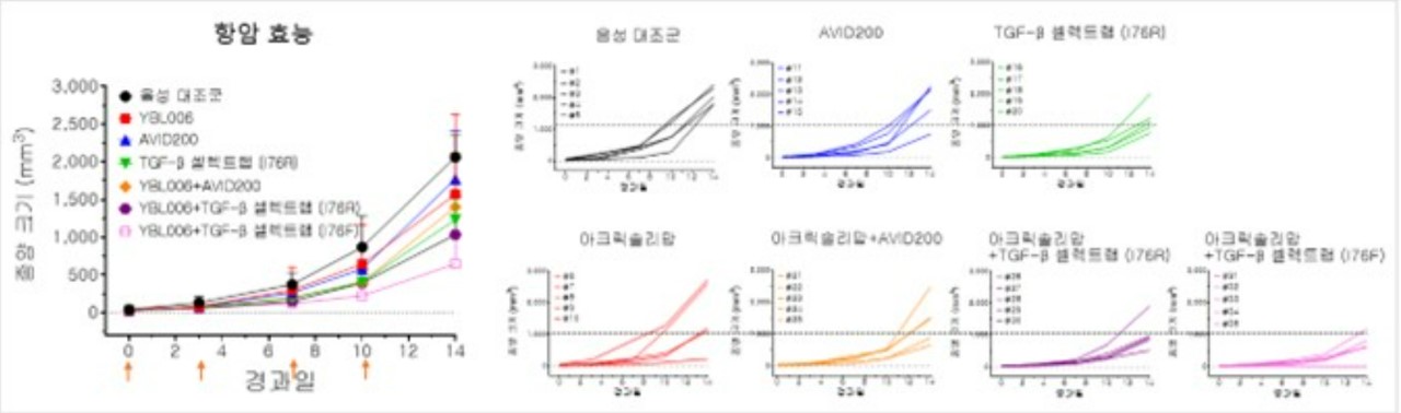 이미지: AR148 및 경쟁약물의 아크릭솔리맙(YBL-006)과 병용 효능 비교
