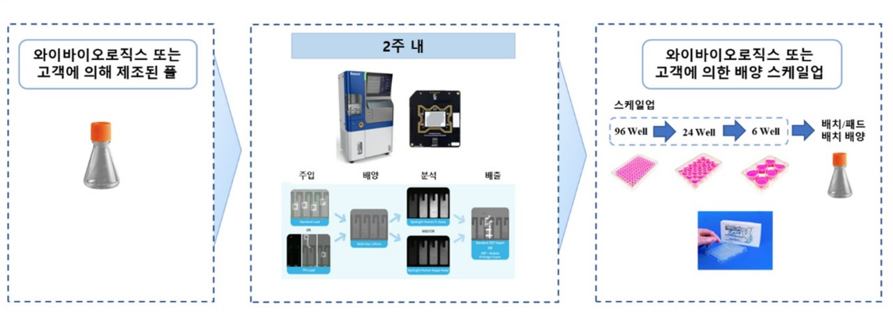 이미지: 고생산성 단일 클론 선별 서비스