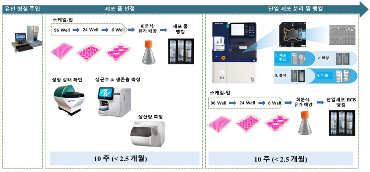 이미지: RCB 세포주 개발 서비스