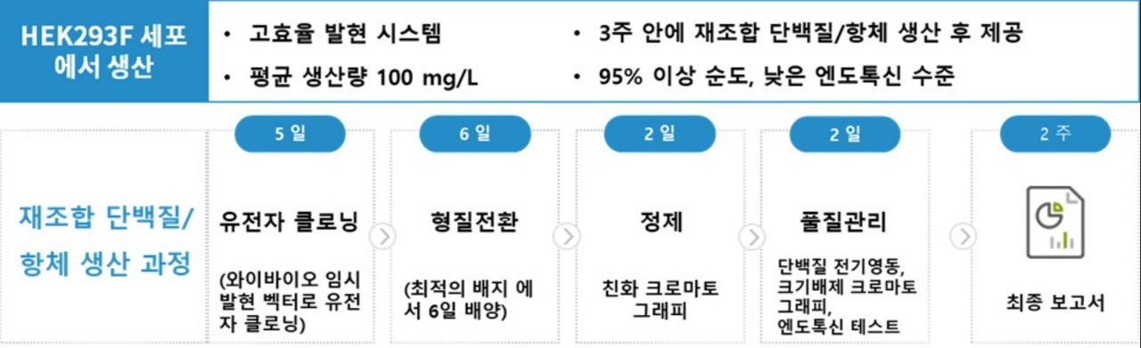 이미지: HEK293F 임시발현 시스템을 이용한 재조합 단백질/항체 생산 서비스