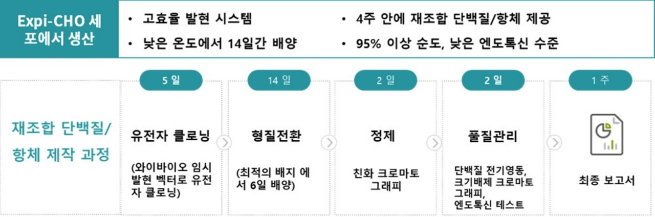 이미지: ExpiCHO 임시발현 시스템을 이용한 재조합 단백질/항체 생산 서비스
