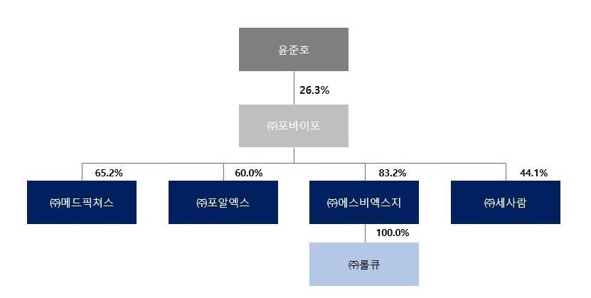 이미지: 계열회사의 계통도 (1)