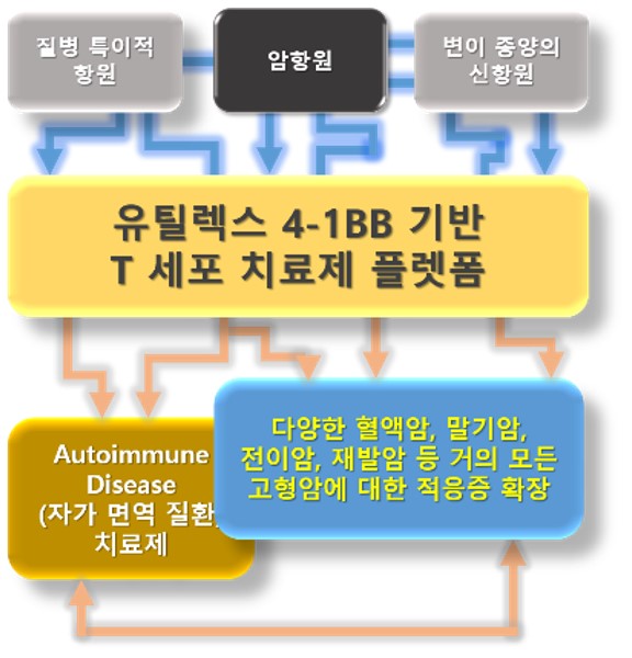 이미지: [맞춤형 플랫폼 기술로서 유틸렉스 T 세포 치료제]