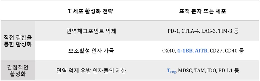 이미지: [면역 항암제의 T 세포 활성화 전략]