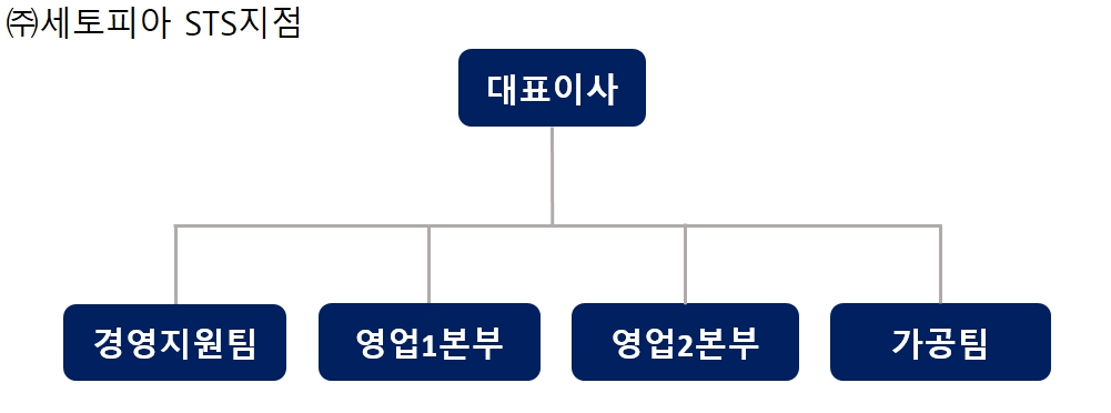 이미지: sts조직도
