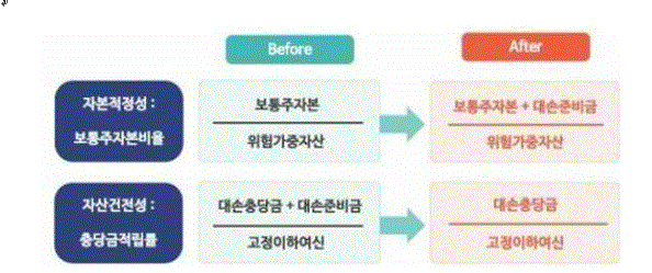 이미지: 보통주자본 인정