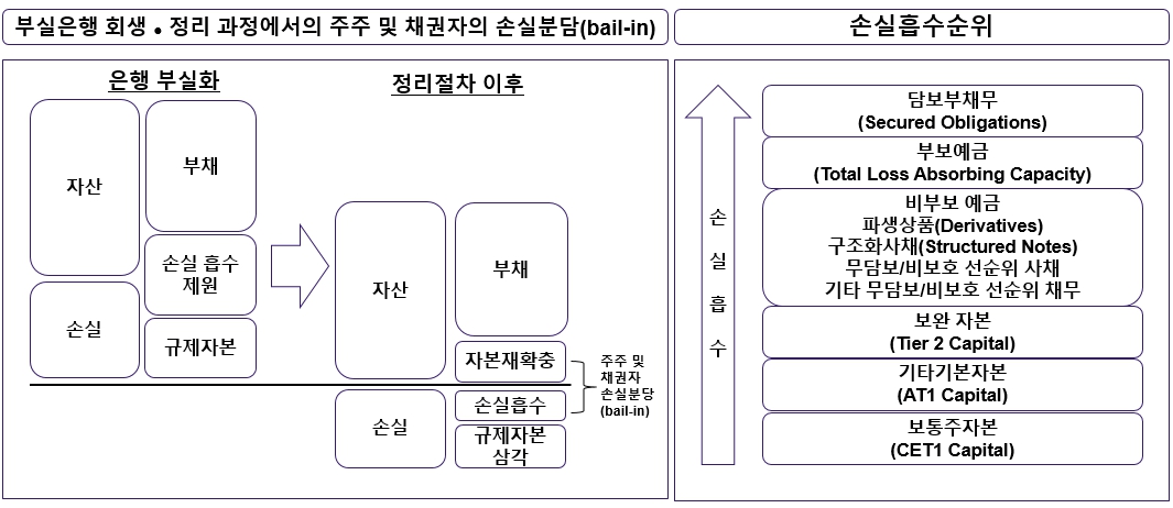 이미지: baill in 개요
