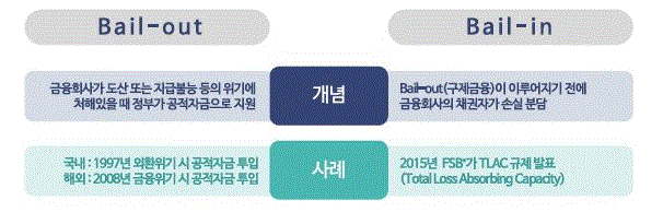 이미지: bail in out 비교