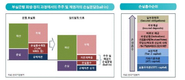 이미지: Bail-in 개요